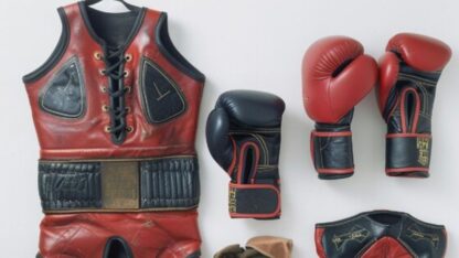 fight-shop-body-protector