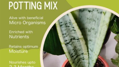 potting-mix-for-indoor-plants