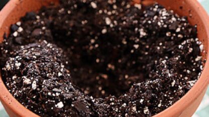 soil-for-plants-online