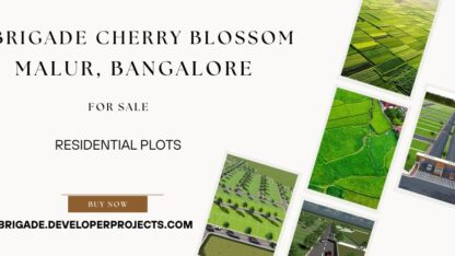 Brigade-Cherry-Blossom-Malur-Bangalore-2