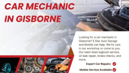 Car-Mechanic-in-Gisborne