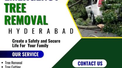 Emergency-Tree-Removal-1-1