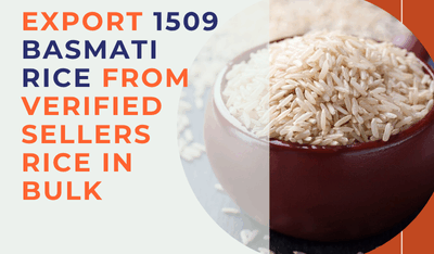 Export-1509-Basmati-Rice-from-Verified-Sellers-Rice-in-Bulk