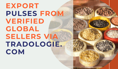 Export-Pulses-from-Verified-Global-Sellers-via-Tradologiecom