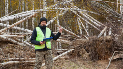 Tree-Removal-Permit-Cost