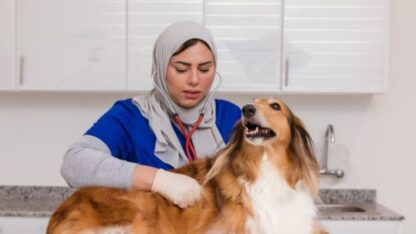 Trusted-Pet-Clinic-in-Muscat-–-Caring-for-Your-Pets-Like-Family
