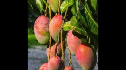 imgi_26_CA54B69C-00A1-4D00-B430-E3F02C10A1F6