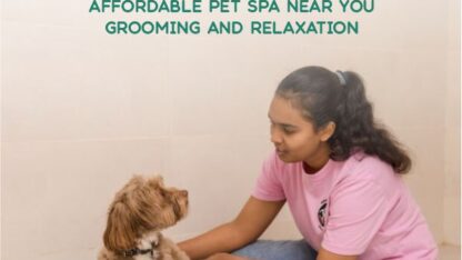 Affordable-Pet-Spa-Near-You-–-Grooming-and-Relaxation