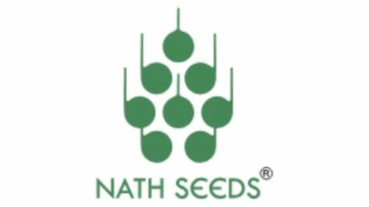Best-Cabbage-Seeds-Nath-Bio-Genes