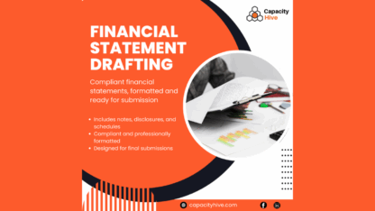 CapacityHive-Audit-Outsourcing-Services