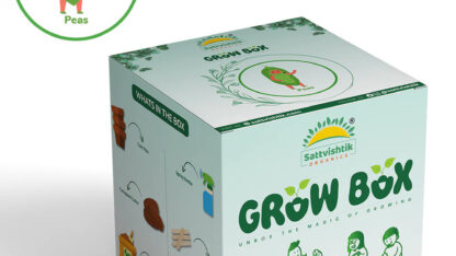 Sattvishtik-Grow-Box-Smart-Sustainable-Convenient-Solution-for-Healthy-Home-Gardening