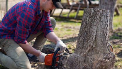 Tree-Removal-Stump-Grinding