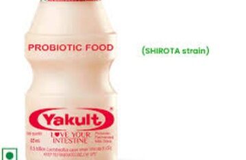 download-2025-07-28T113441.706-1