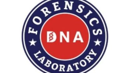 imgpsh_fullsize_anim