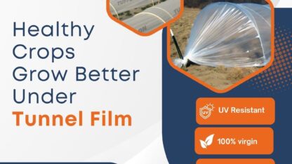 Healthy-Crops-Grow-Better-Under-Tunnel-Film