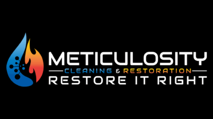 Meticulocity_logo