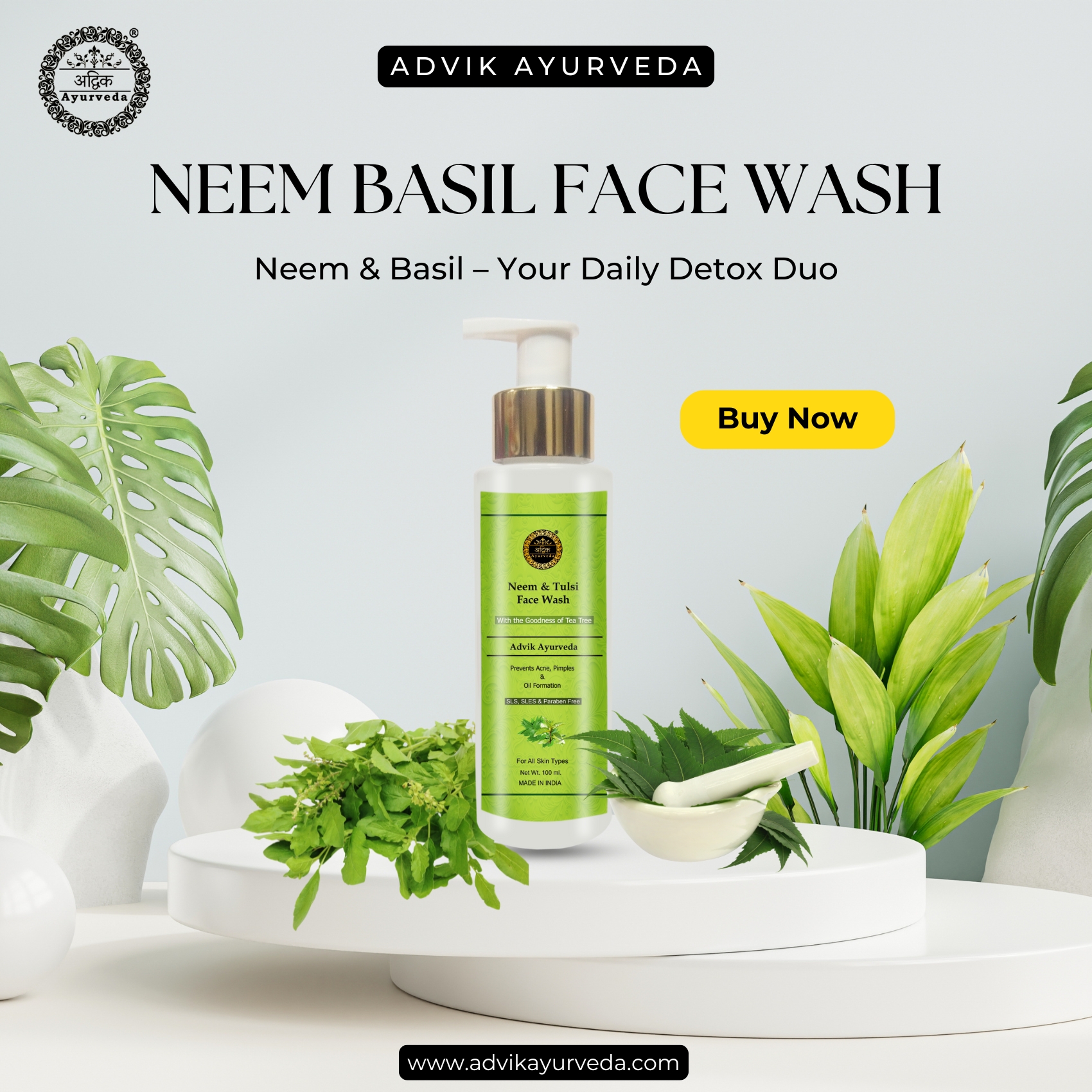 Gentle Care for Dry Skin: Ayurvedic Face Wash