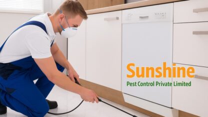 Pest-Control-Services-in-Mohali