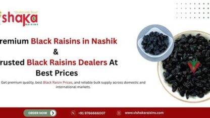 Premium-Black-Raisins-in-Nashik-Trusted-Black-Raisins-Dealers-Best-Prices-1