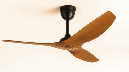 Top-Quality-Aesthetic-Designer-Fan