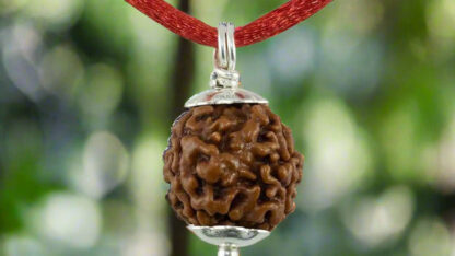 5-Mukhi-Rudraksha-Pendant
