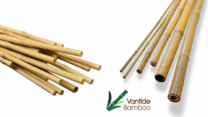 Bamboo Canes – Vantidebamboo.com