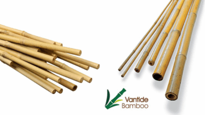Bamboo-Canes-Vantidebamboo.com_