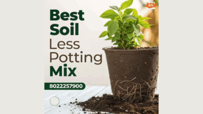 Best-Soil-Less-Potting-Mix