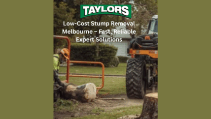 Low-Cost-Stump-Removal-Melbourne-–-Fast-Reliable-Expert-Solutions