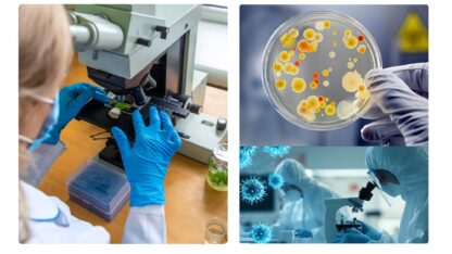 Establish-a-Solid-Base-for-Your-Microbiology-Career-at-FARE-Labs-Pvt-Ltd