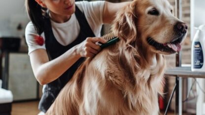 Pet-care-services-Spring-Hill-Florida