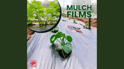 Premium-Silpaulin-Mulch-Film-for-Farming-Affordable-Price