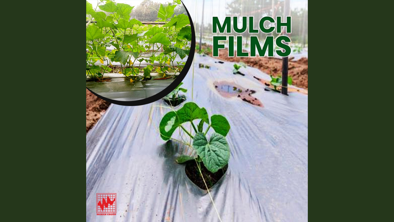 Premium Silpaulin Mulch Film for Farming | Affordable Price