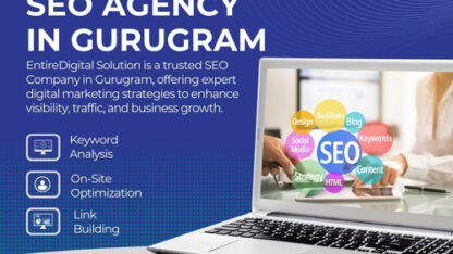 SEO-Agency-in-Gurugram-1