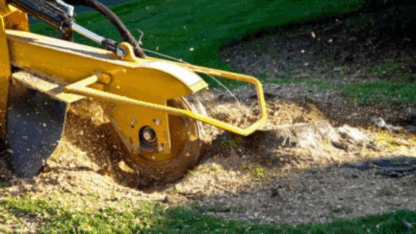 Stump-Grinding