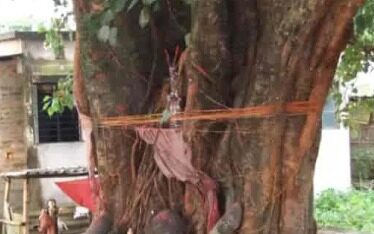 WhatsApp_Image_2024-01-17_at_15_38_49