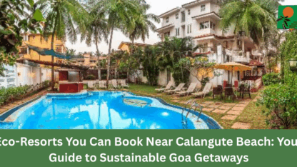 calangute-beach-960×500-1