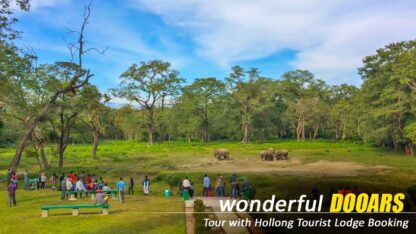dooars-tour-package-from-new-mal-junction