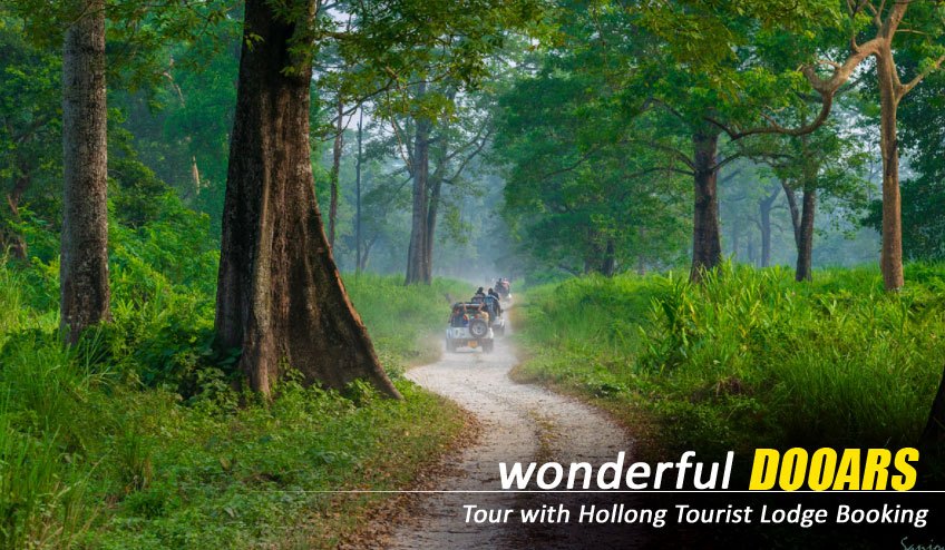 Dooars Tour Package from Siliguri – A Gateway to Untouched Wilderness