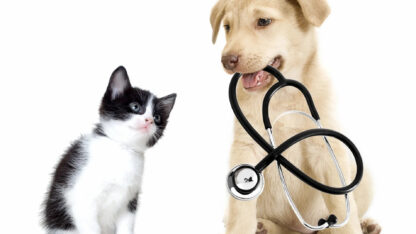 park-hills-animal-hospital