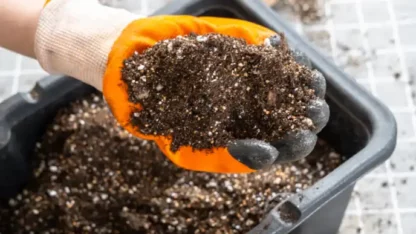 perlite-vs-soil-alternatives-comparison