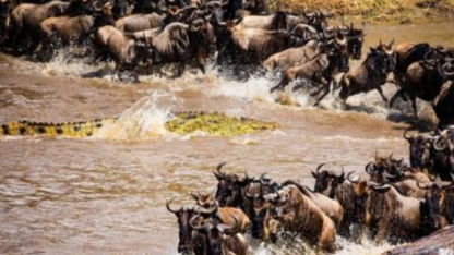 10-Days-Tanzania-Wildlife-Safari