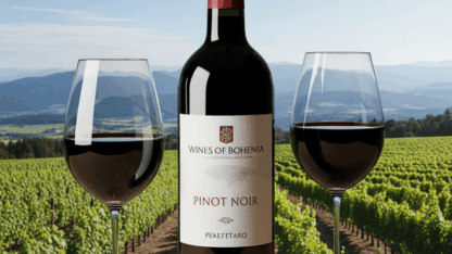 Best-pinot-noir-wine-1