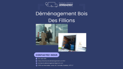 Demenagement-Bois-des-fillions