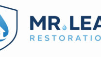 Professional Mould Cleaning Services for Safe Homes