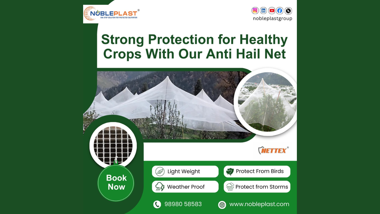 Strong Protection For Healthy Crops With Our Anti Hail Net