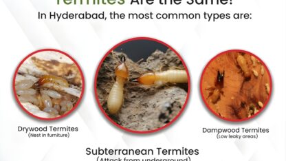 WhatsApp-Image-2026-01-03-at-5.09.39-PM