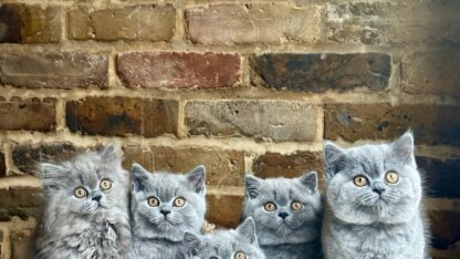 b3127a9e-6243-42ba-b932-ac3b606e85b7