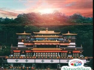 bhutan-tour-packages-from-delhi