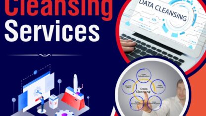 data-cleansing-services-1